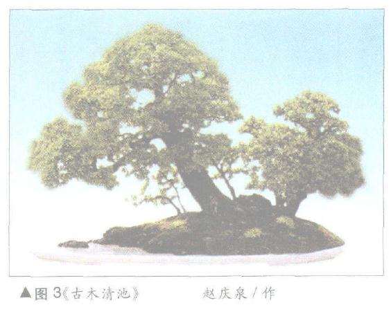 盆景土山带石法