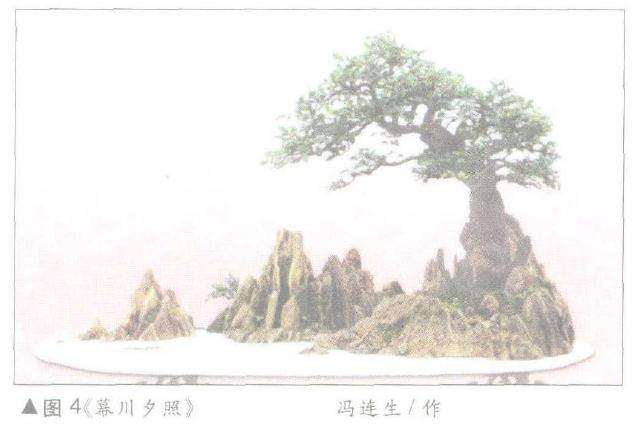 盆景石山带土法