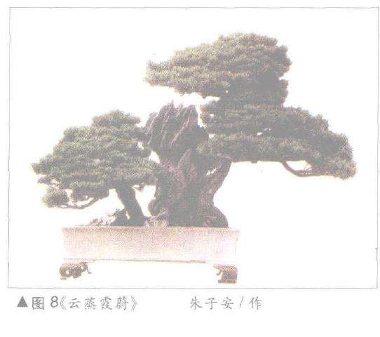 盆景上中配石法