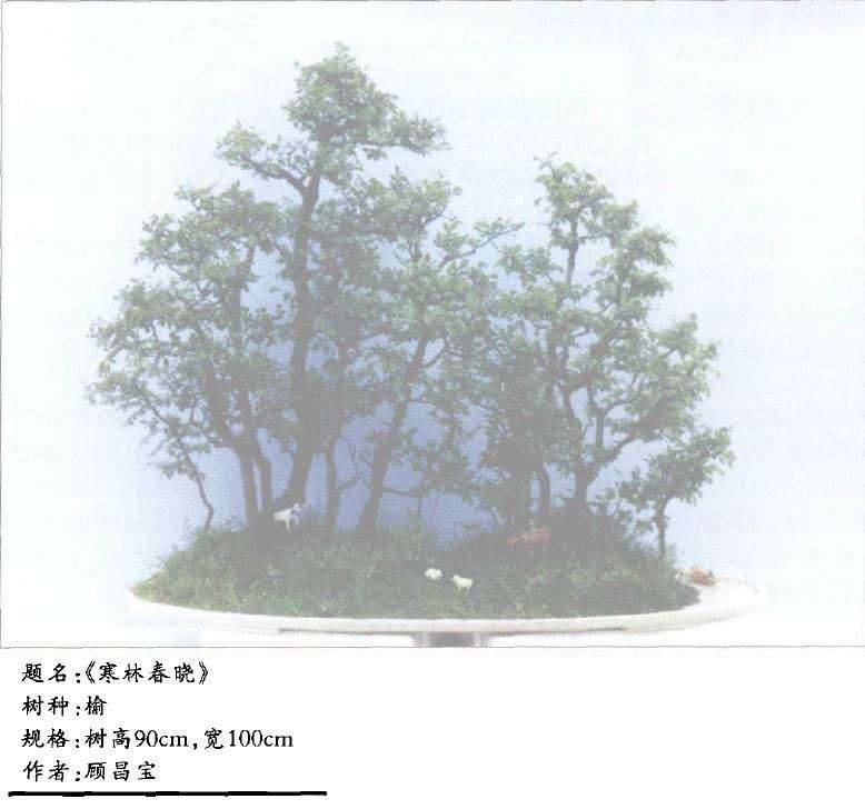 山水盆景《寒林春晓》