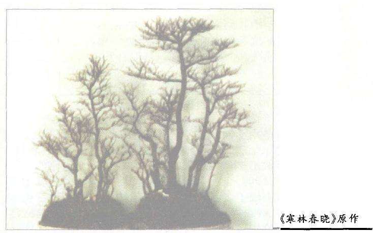 山水盆景《寒林春晓》最开始的样子