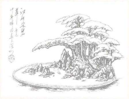 如何达到树石盆景制作的意境 图片