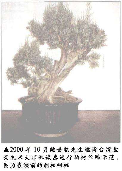 台湾盆景艺术大师郑诚恭进行柏树丝雕示范