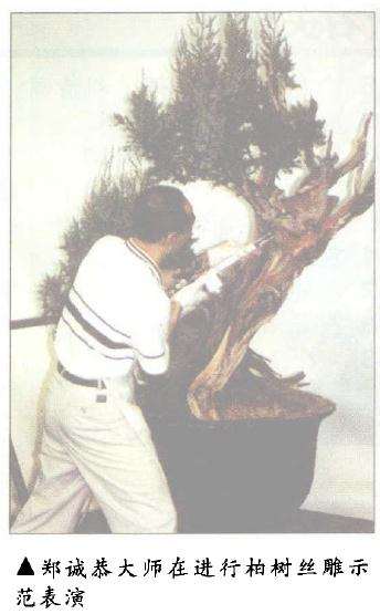 郑诚恭大师在进行柏树丝雕示范表演