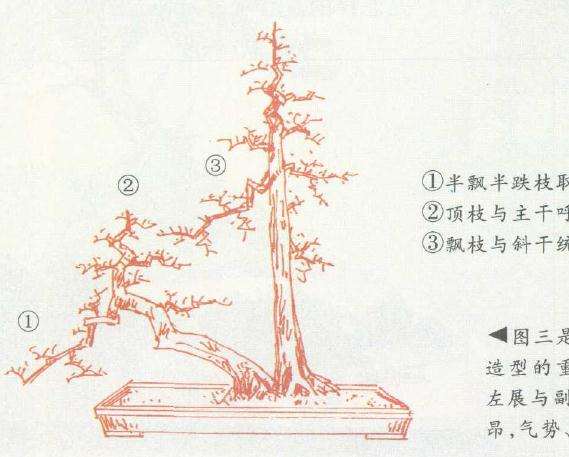 直一料的双干造型