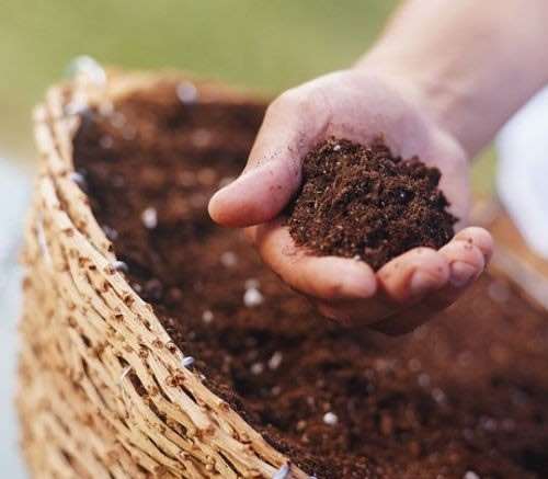 盆景用土怎么配制的3个方法