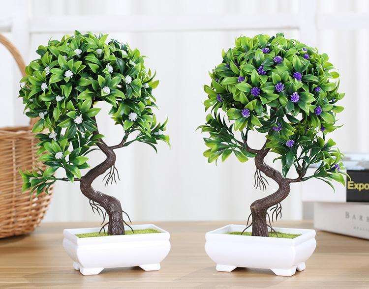 怎样陈设和养护山水盆景