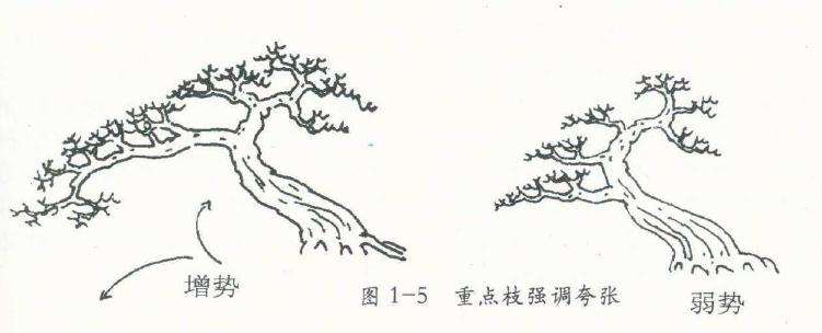 盆景制造不平衡