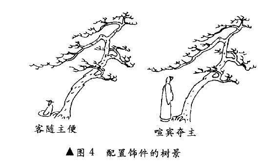 图解 树木盆景造型怎么主次分明