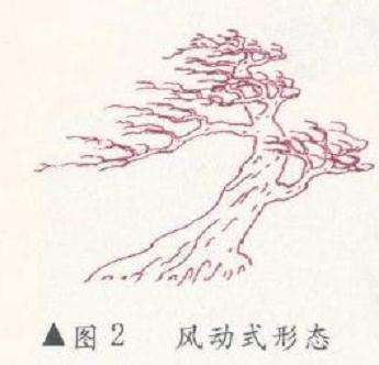 风动式盆景