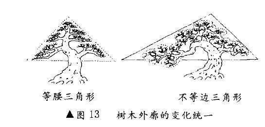 图解 树木盆景造型怎么变化统一