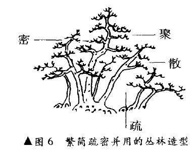 图解 树木盆景造型怎么繁简并用