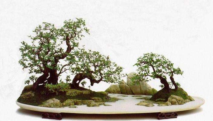 怎么制作山水盆景的7个要点