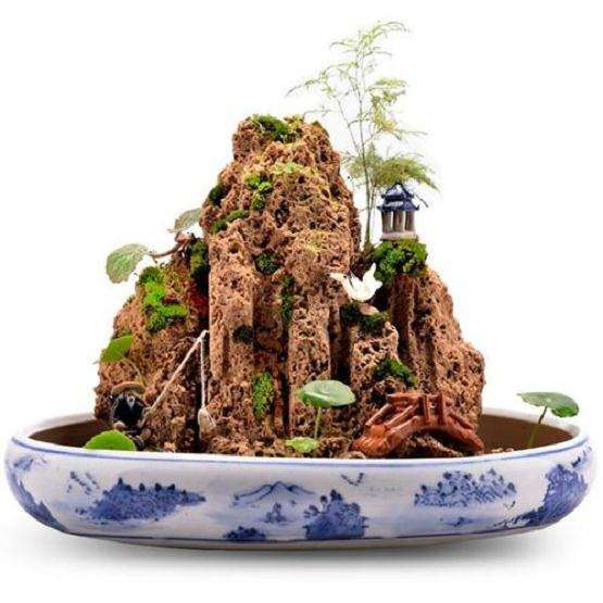 水石盆景有哪些造型上应具有的特色