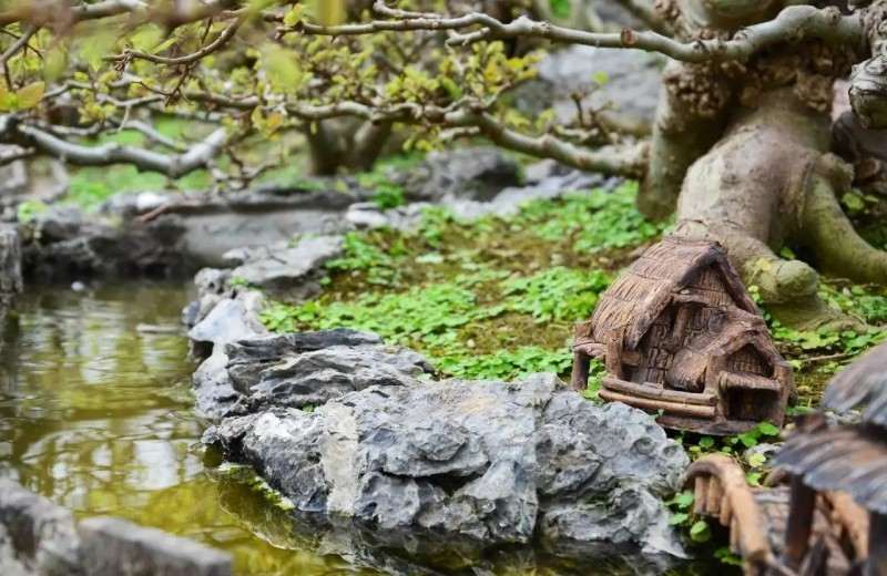 幻境长城 叹为观止的盆景自由拼接术