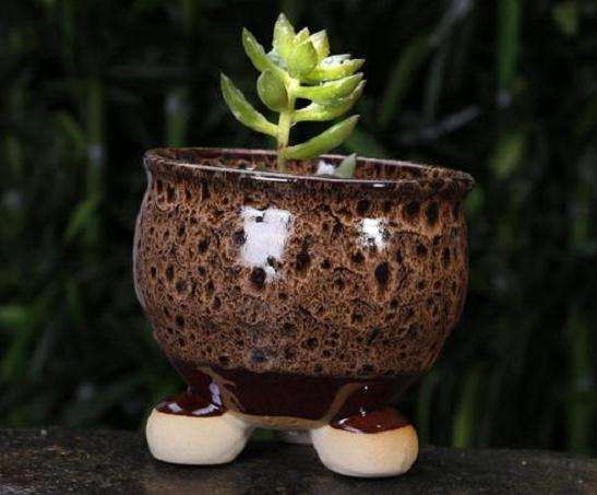 盆景盆钵的5个分类 有哪些