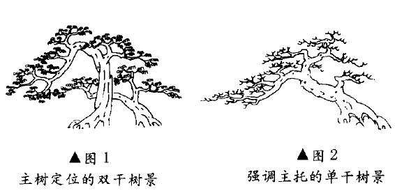 图解 树木盆景造型怎么主次分明