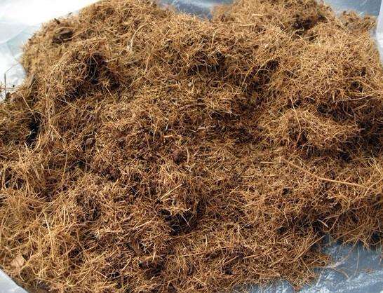 你们怎么盆景用土 13种盆景土壤介绍