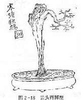 图解 盆景制作系列之造型设计的方法