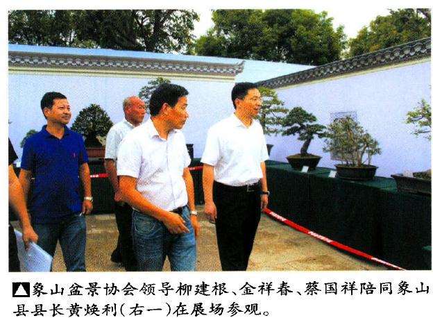 象山县盆景参展