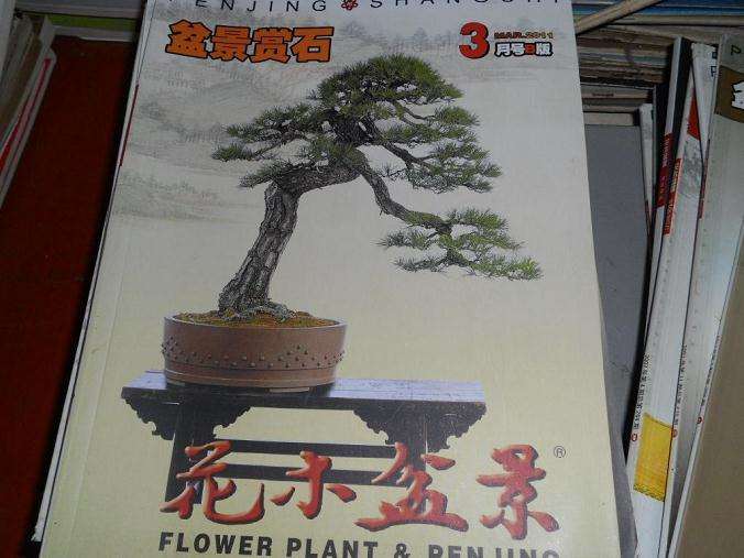 《花木盆景》杂志读后感