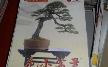 《花木盆景》杂志读后感