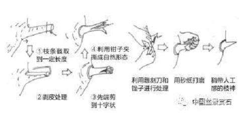 盆景神付顶怎么制作的5个技术