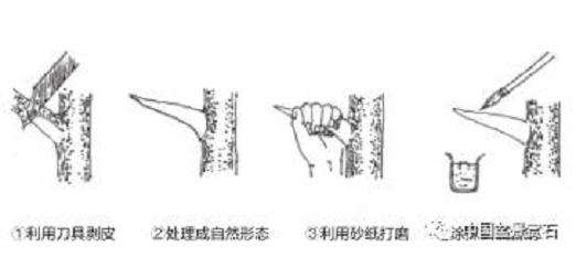 盆景神付顶怎么制作的5个技术
