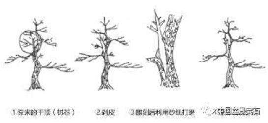 盆景神付顶怎么制作的5个技术