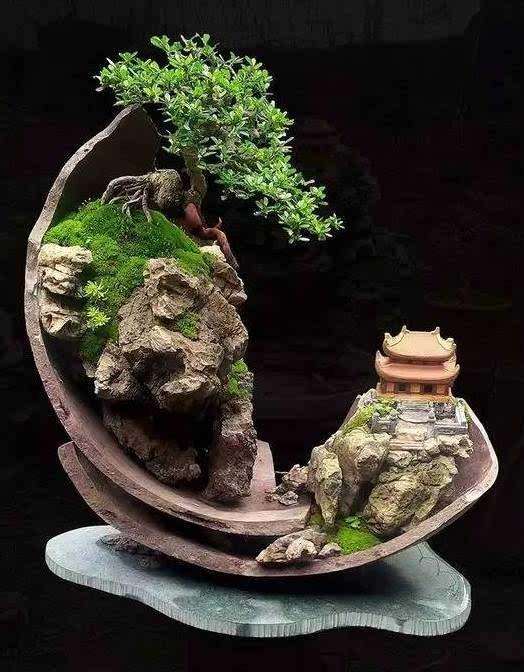 盆景用盆有什么讲究