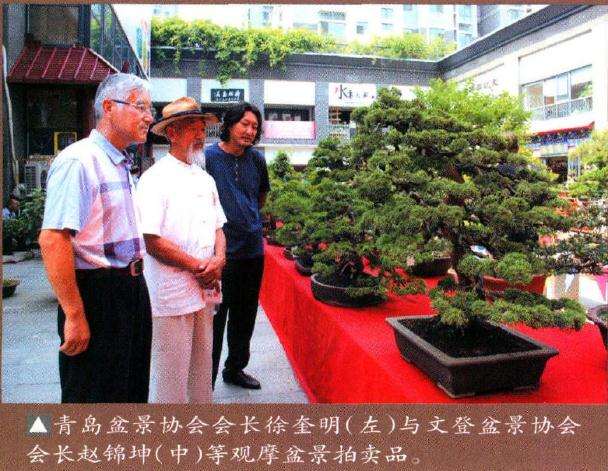 2016年 威海举办盆景无底价拍卖会