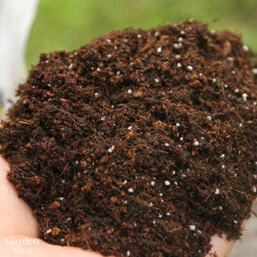 盆景的土壤应该如何选择的方法