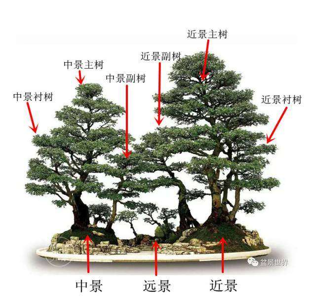 水旱盆景怎么立意构思的方法