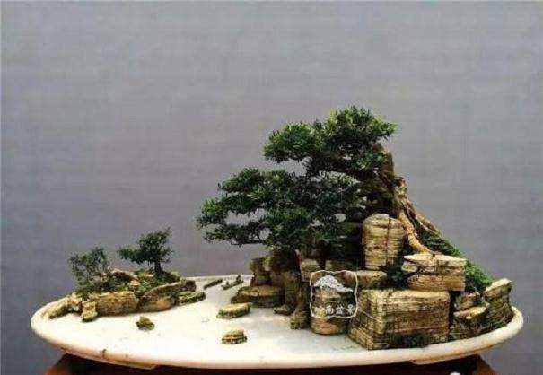 制作水旱盆景怎么选择石头的3个方法