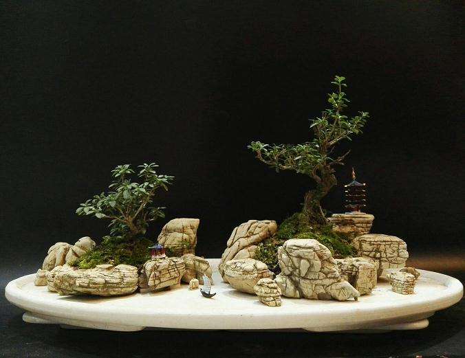 水旱盆景怎么培植加工的5个方法