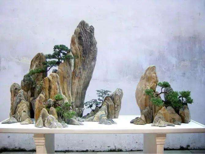水旱盆景树木怎么布局的6个方法