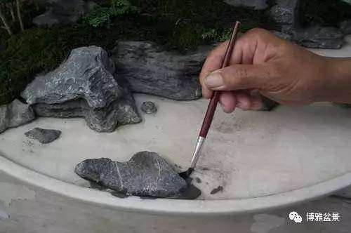 水旱盆景石头怎么布局的方法