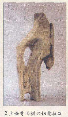 山水盆景主峰背面