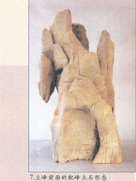 山水盆景主峰前面