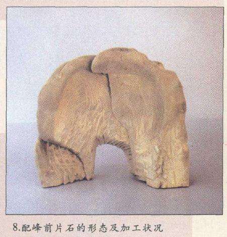 山水盆景配峰前片石