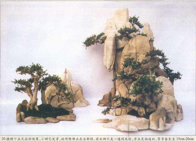 图解 山水盆景怎么制作 石料如何选择