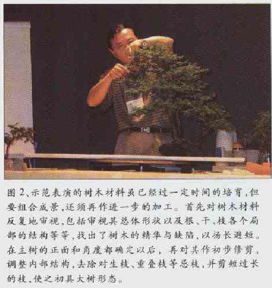 水旱盆景示范表演