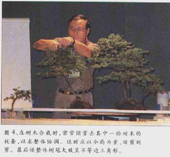 图解 2003 赵庆泉制作水旱盆景的过程