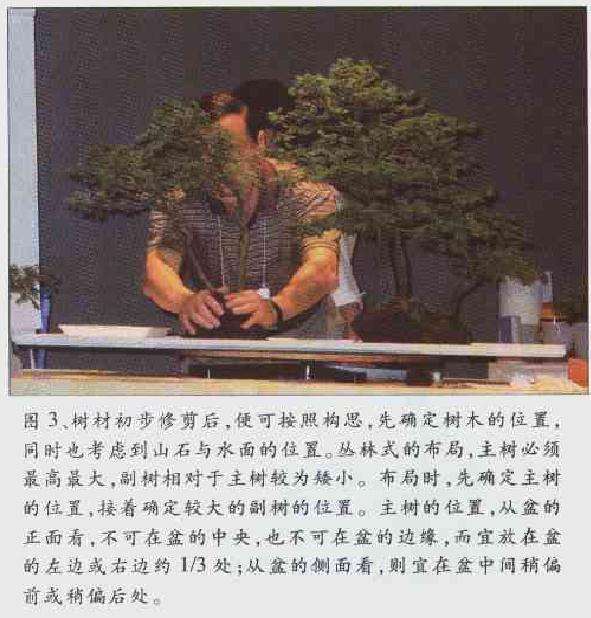 水旱盆景示范表演