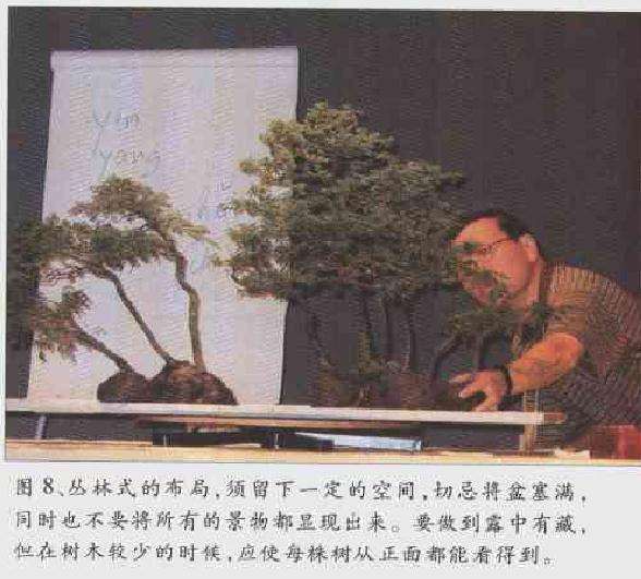 图解 2003 赵庆泉制作水旱盆景的过程