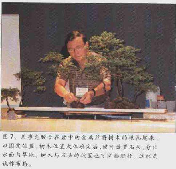 图解 2003 赵庆泉制作水旱盆景的过程