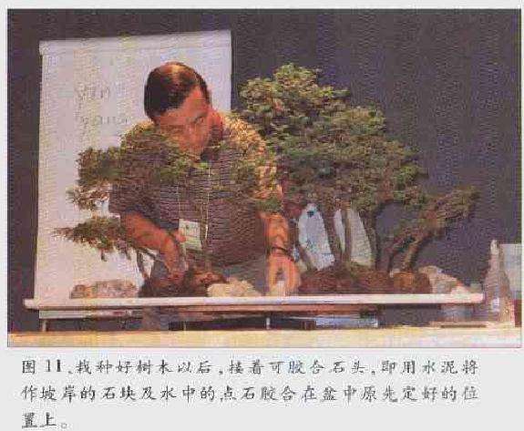 图解 2003 赵庆泉制作水旱盆景的过程