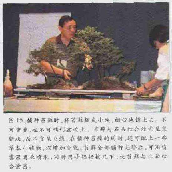 图解 2003 赵庆泉制作水旱盆景的过程