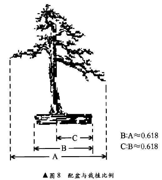 盆景配盆以扁长盆为宜
