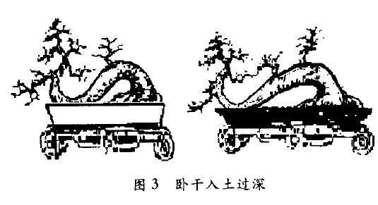 图解 怎么制作卧干式盆景的5个步骤